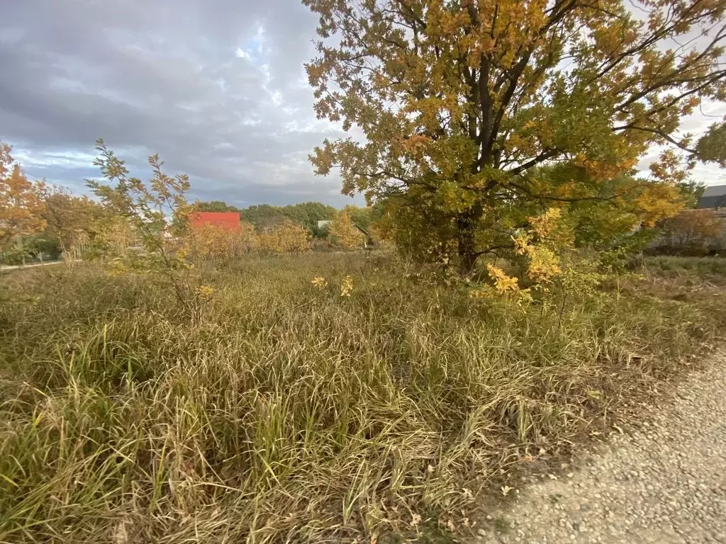 Участок в Краснодарский край, Северский район, Афипское городское ... - Фото 0
