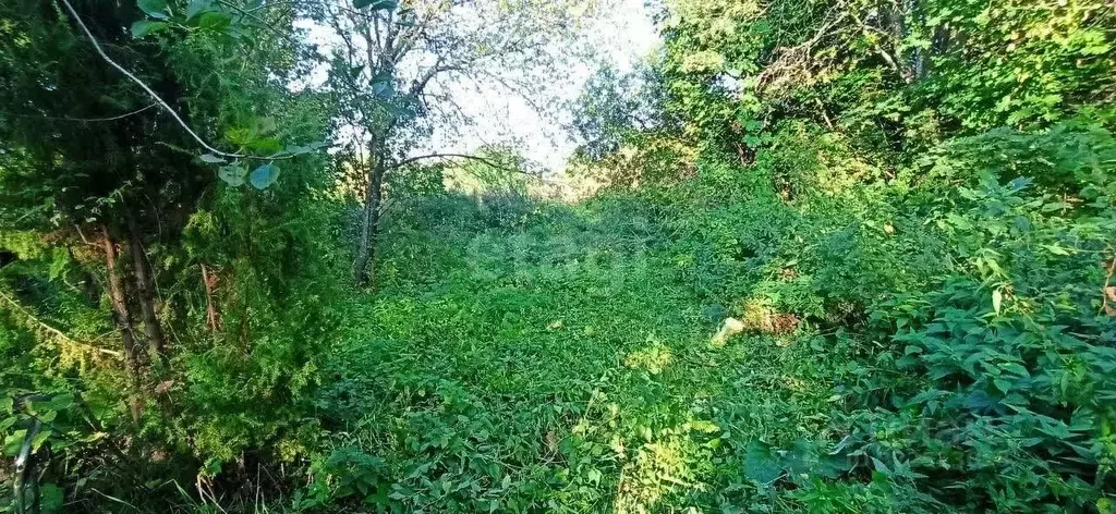Участок в Нижегородская область, Дальнеконстантиновский муниципальный ... - Фото 0