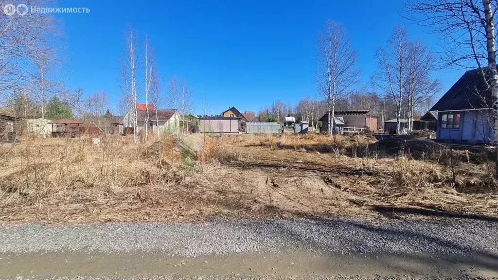 Участок в Выборгский район, Рощинское городское поселение, СНТ Луговое ... - Фото 2