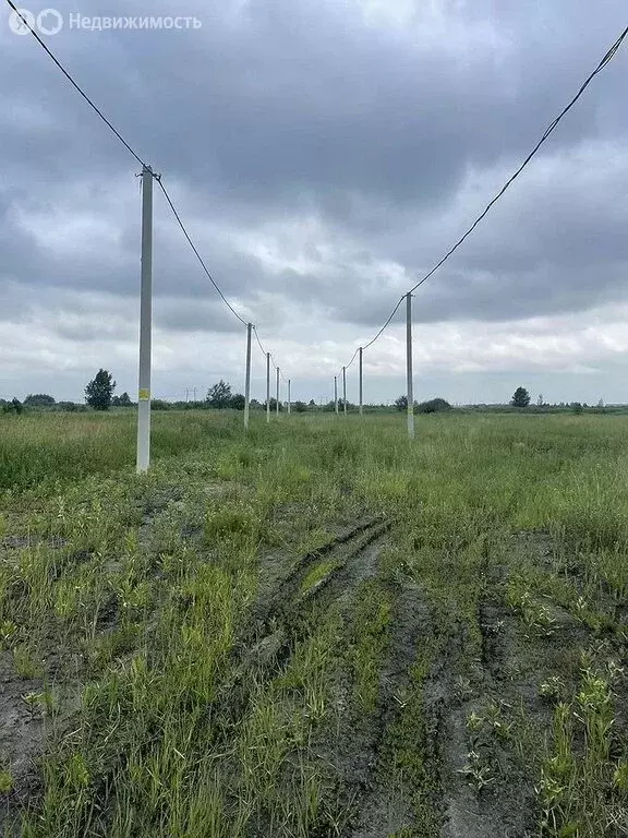 Участок в Тюмень, садовое общество Дубок (8 м) - Фото 2