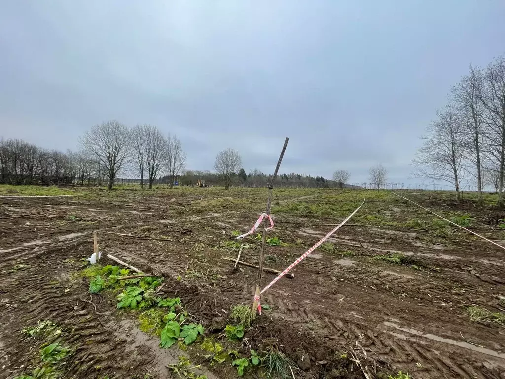Участок в Ленинградская область, Гатчинский муниципальный округ, д. ... - Фото 0