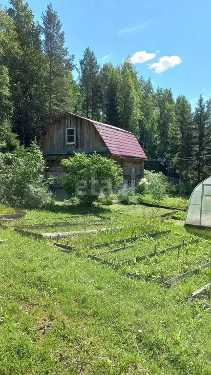 Дача 63 м на участке 20 сот. - Фото 1