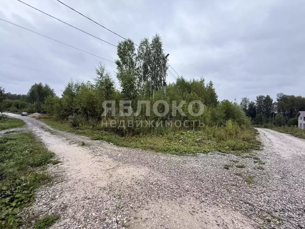 Участок в Пермский край, Березники пер. Красивый, 12 (14.4 сот.) - Фото 2
