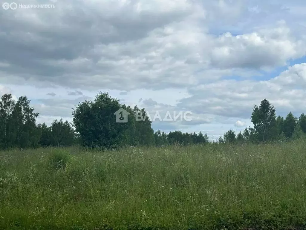 Участок в Нижегородская область, Богородский муниципальный округ, ... - Фото 0