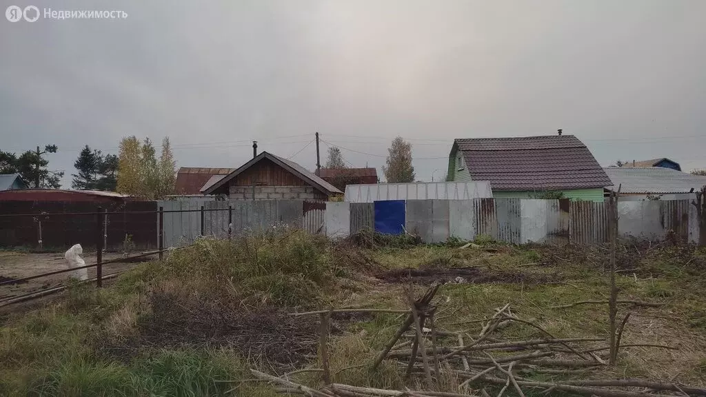 Участок в Вологда, садоводческое товарищество Северянин-1, 18 (4 м) - Фото 0