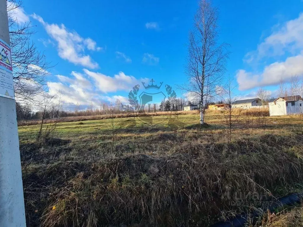 Участок в Ленинградская область, Ломоносовский район, Пениковское ... - Фото 1