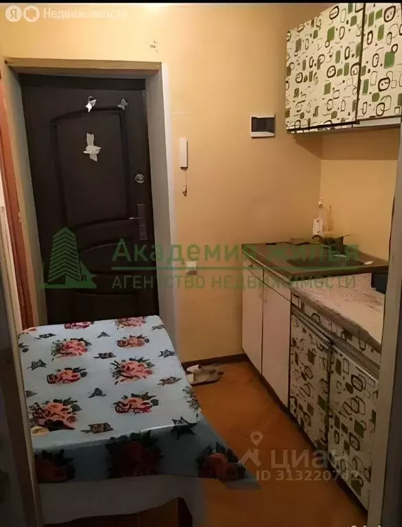 1-комнатная квартира: Энгельс, проспект Строителей, 39 (17.3 м) - Фото 0