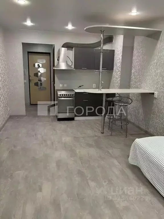 Студия Новосибирская область, Новосибирск ул. Виктора Уса, 4 (23.8 м) - Фото 2