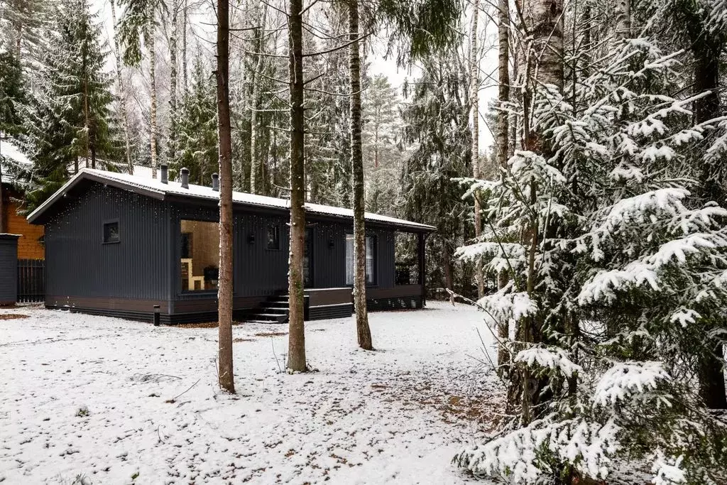Дом в Московская область, Пушкинский городской округ, д. Могильцы, ... - Фото 1