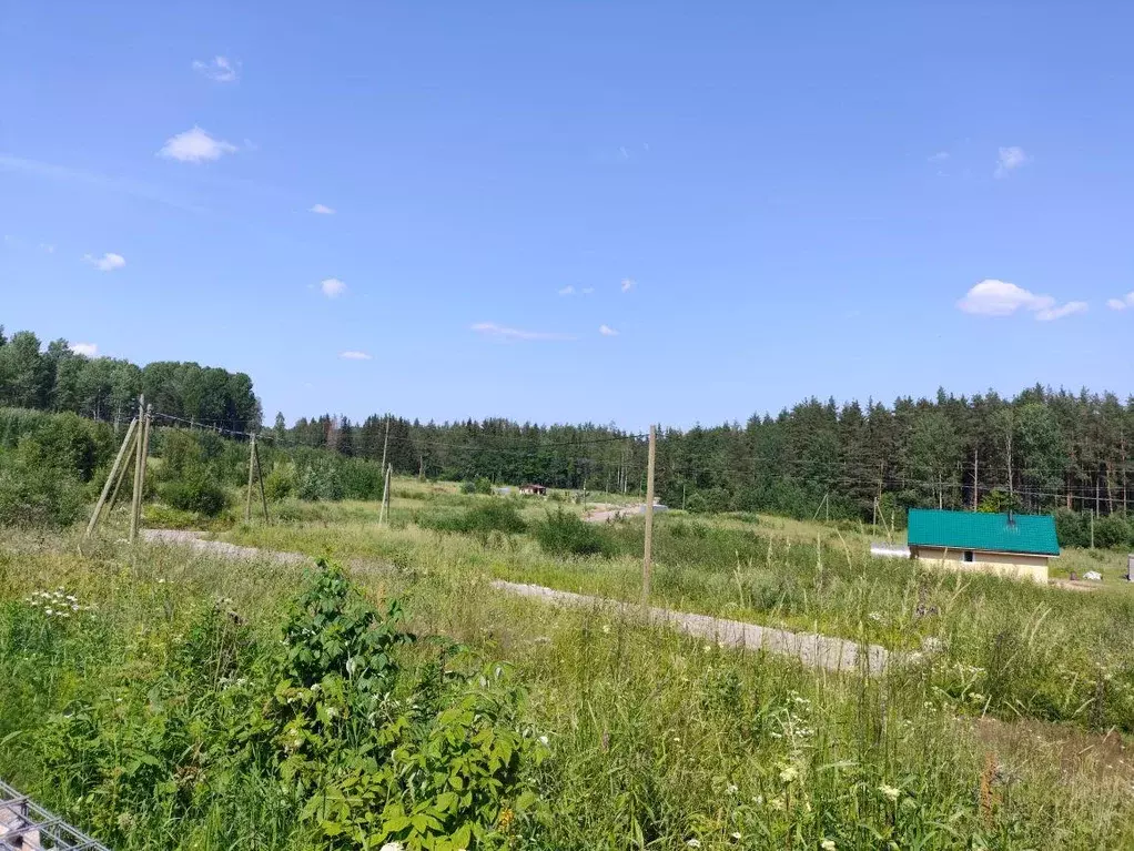 Участок, 10 сот., сельхоз (снт или днп) - Фото 1