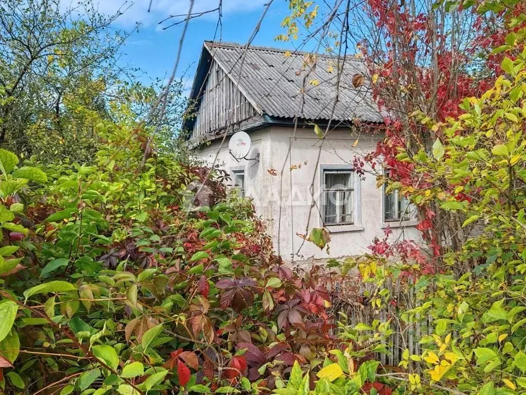 Дом в Калужская область, Сухиничи ул. Покрышкина (64 м) - Фото 2