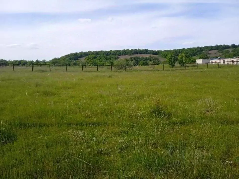 Участок в Саратовская область, Воскресенский район, Елшанское ... - Фото 1