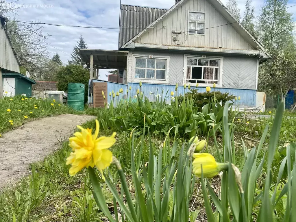 Дом в Кисельнинское сельское поселение, садоводческий массив Пупышево, ... - Фото 1