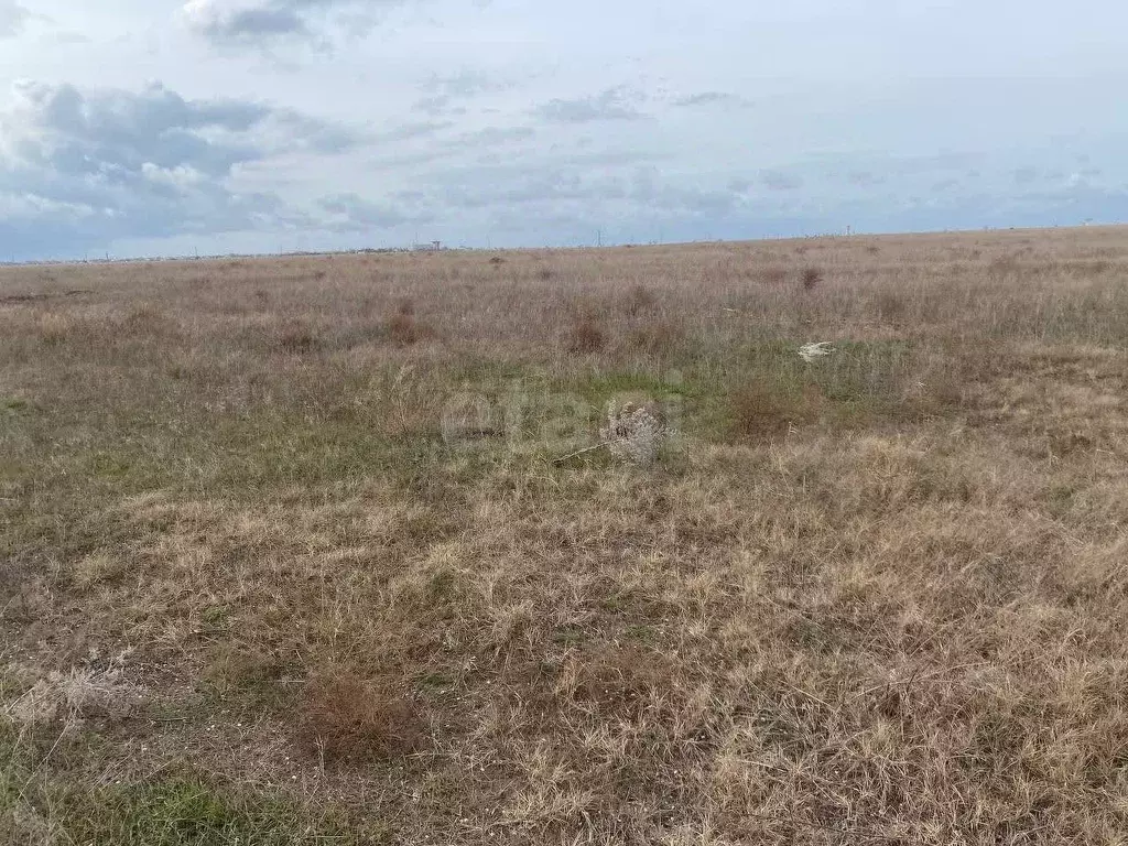 Участок в Крым, Черноморский район, с. Новосельское  (100.0 сот.) - Фото 0