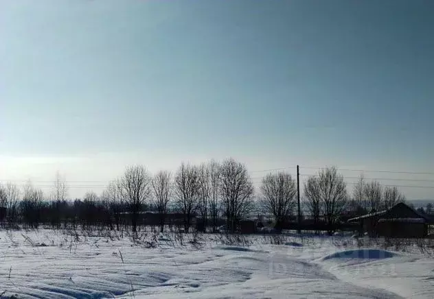 Участок в Московская область, Дмитровский муниципальный округ, д. ... - Фото 1