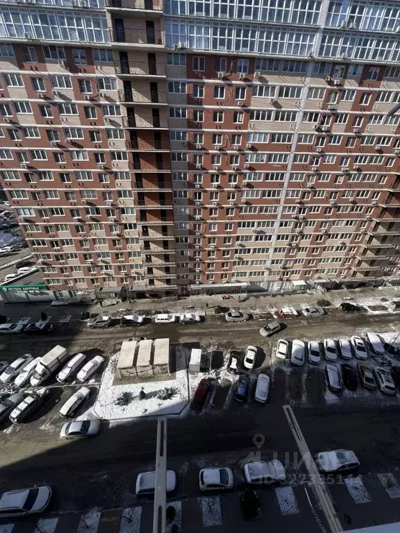 Студия Краснодарский край, Краснодар ул. Западный обход, 39/2к5 (24.0 ... - Фото 2