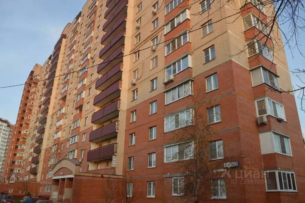 1-к кв. Московская область, Домодедово Северный мкр, ул. Набережная, ... - Фото 1