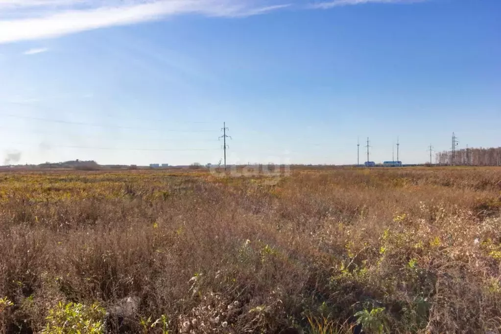 Участок в Новосибирская область, Новосибирский район, Криводановский ... - Фото 0