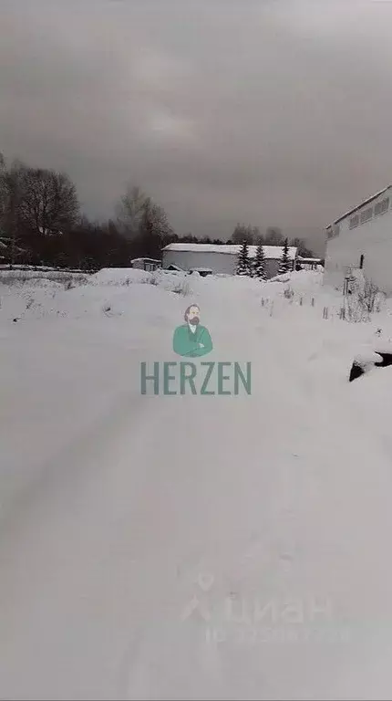 Производственное помещение в Московская область, Пушкино Мамонтовка ... - Фото 2