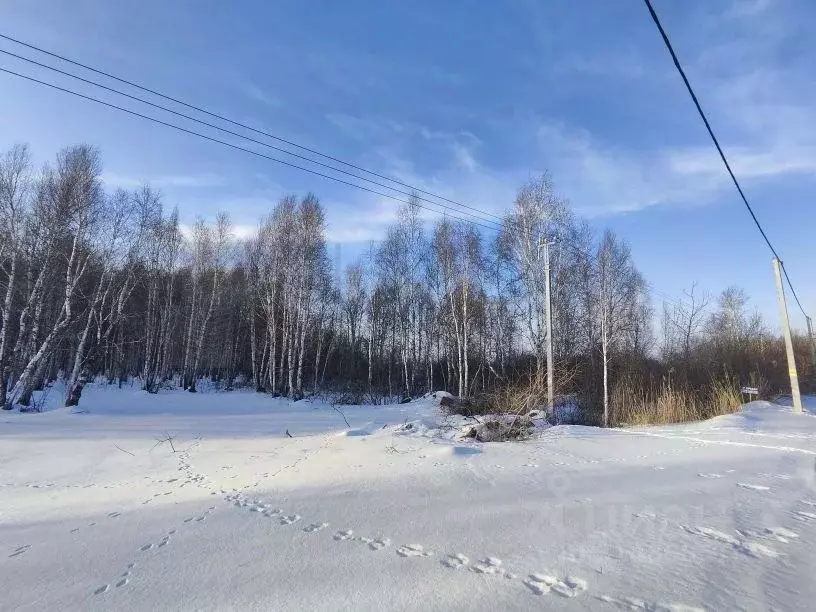 Участок в Тюменская область, Тюменский район, с. Борки ул. Отрадная ... - Фото 0
