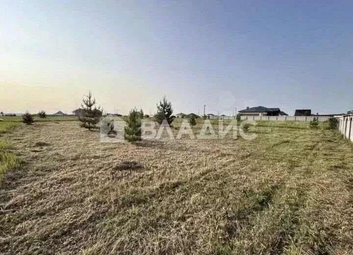 Участок в Татарстан, Нижнекамский район, Афанасовское с/пос, с. Нижнее ... - Фото 1