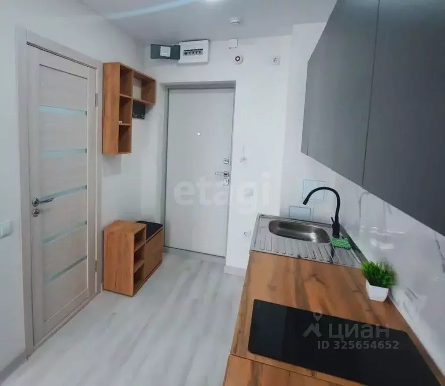 Студия Новосибирская область, Новосибирск ул. Ясный Берег, 43 (27.0 м) - Фото 1