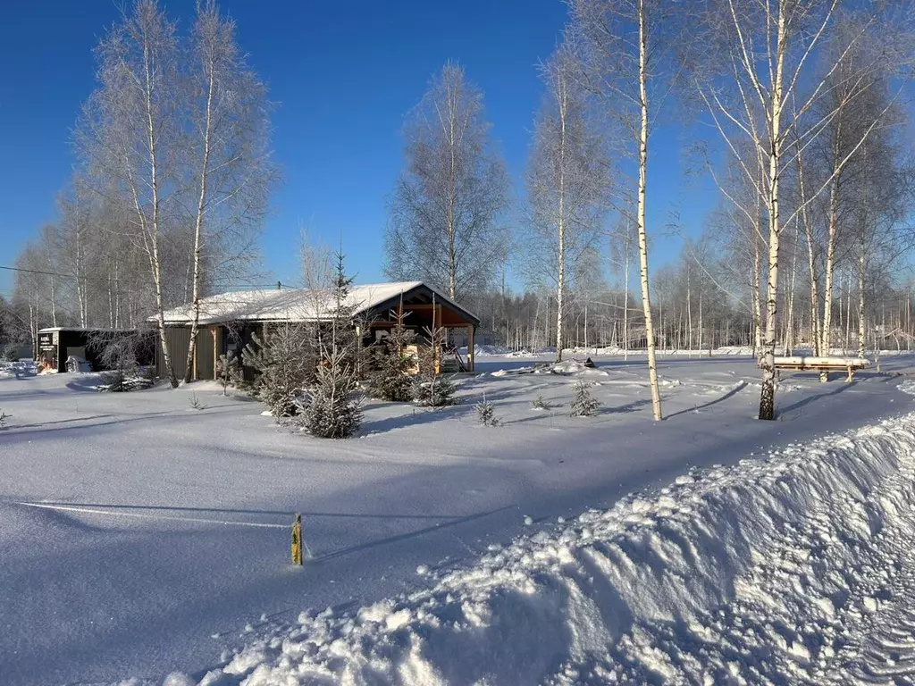 Участок в Московская область, Пушкинский городской округ, д. Якшино  ... - Фото 1