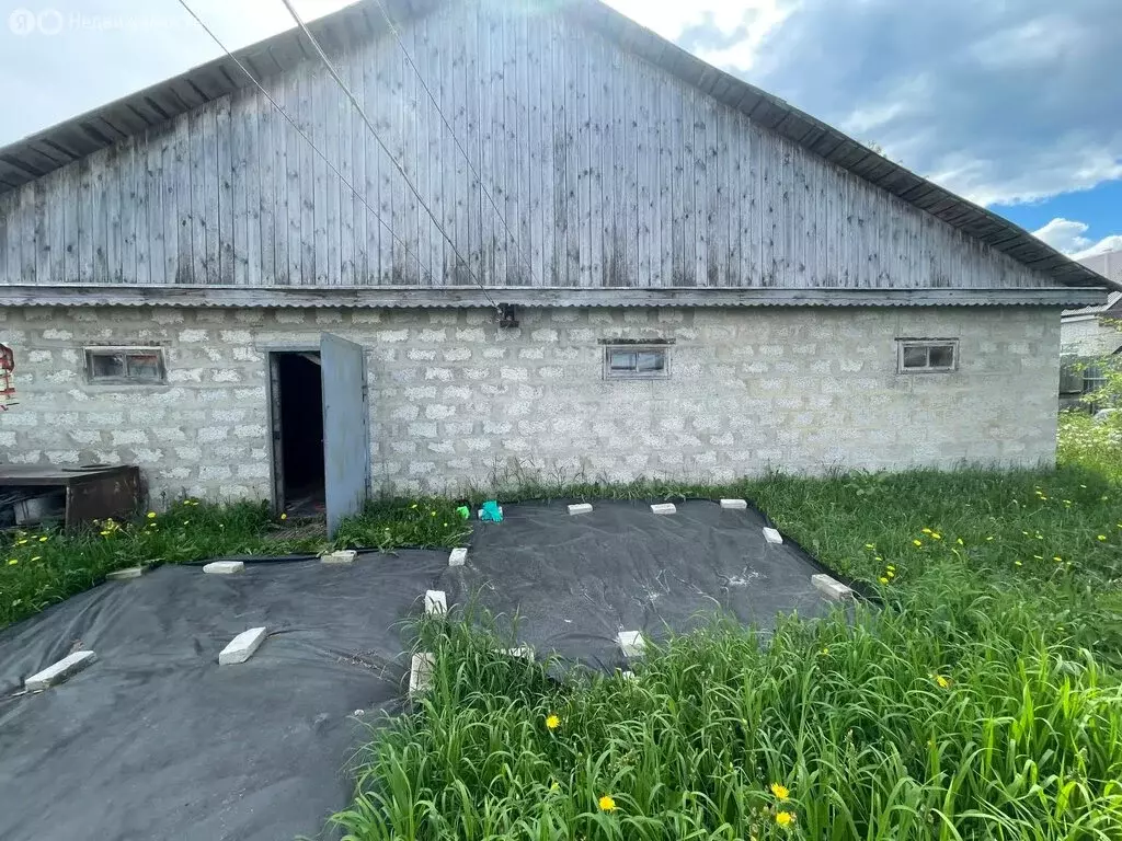 Дом в деревня Ручей, Зареченская улица (47.2 м) - Фото 1