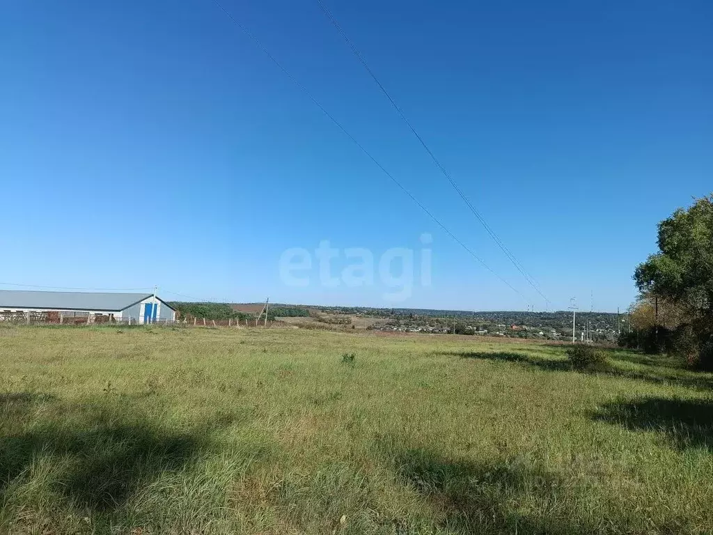 Участок в Курская область, Курский район, Моковский сельсовет, д. ... - Фото 2