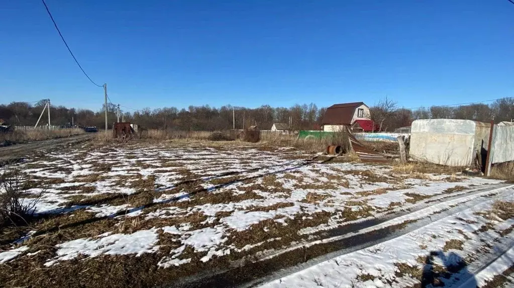 Участок в Московская область, Кашира городской округ, д. Срезнево ул. ... - Фото 1