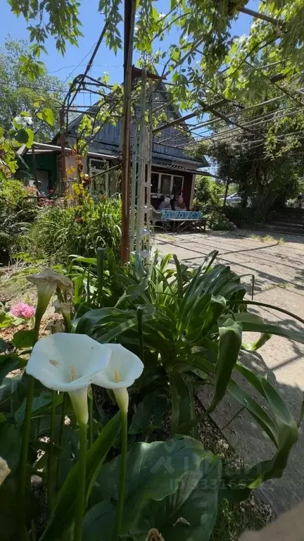 Участок в Краснодарский край, Сочи Головинка мкр, ул. Центральная, 43 ... - Фото 1