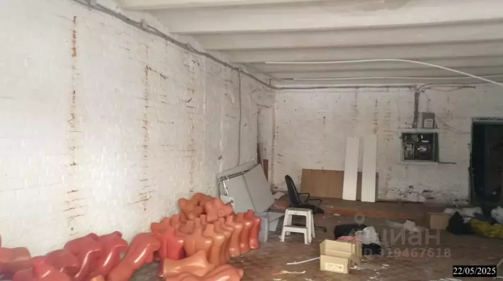 Помещение свободного назначения в Нижегородская область, Нижний ... - Фото 1