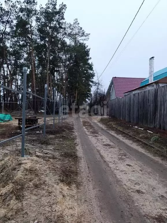 Дом в Воронеж, СНТ Шинник-1 (26.2 м) - Фото 1
