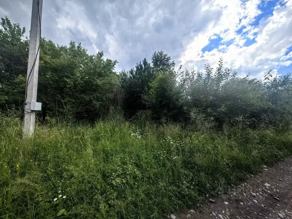 Участок в Алтай, Майминский район, Манжерокское с/пос, с. Озерное ул. ... - Фото 2