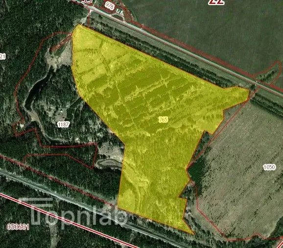 Участок в Алтайский край, Первомайский район, с. Баюновские ключи ... - Фото 2