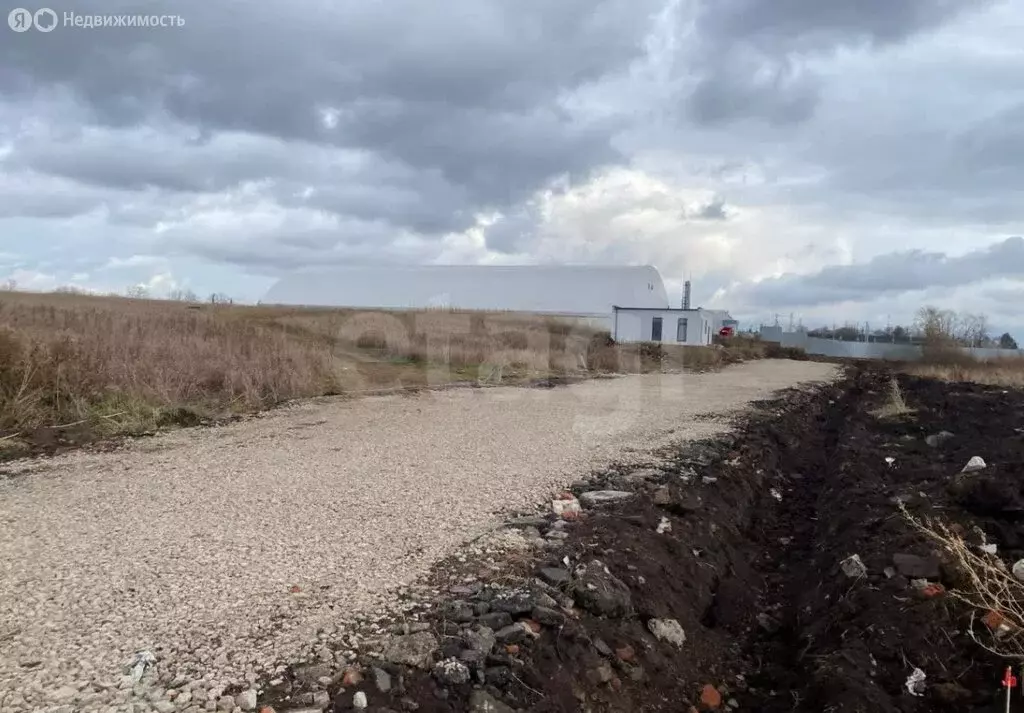 Участок в село Фролы, Родниковая улица (7.42 м) - Фото 2