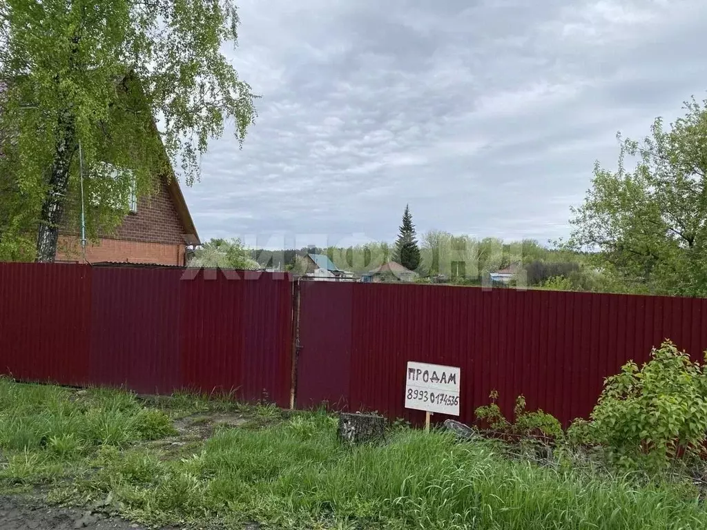 Участок в Новосибирская область, Новосибирский район, с. Барышево ул. ... - Фото 1