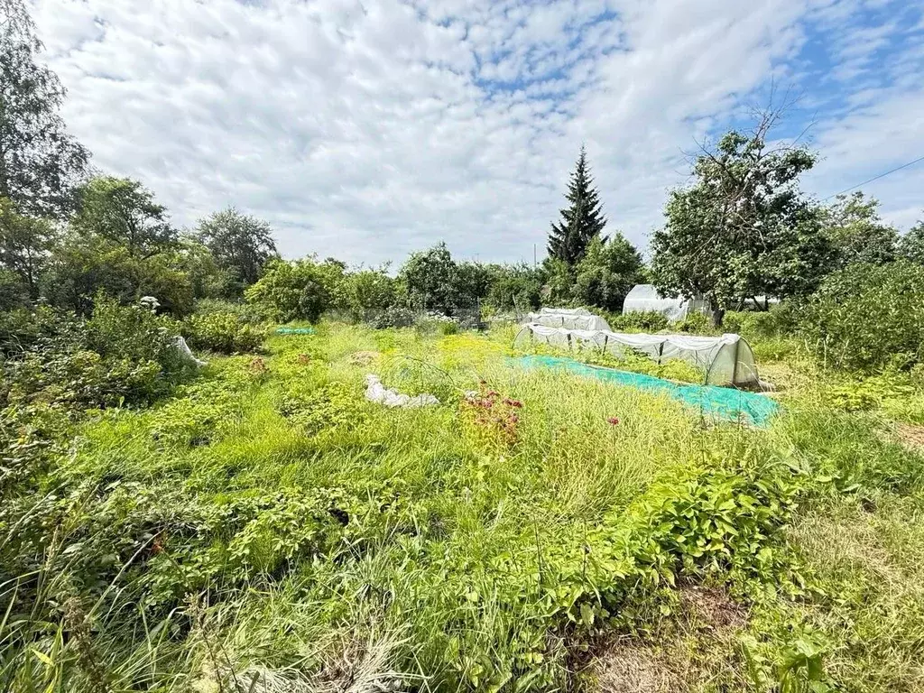 Дом в Вологодская область, Сокол Садовод-1 СТ,  (20 м) - Фото 2