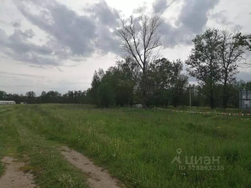 Участок, 2147.1 сот., сельхоз (снт или днп) - Фото 0