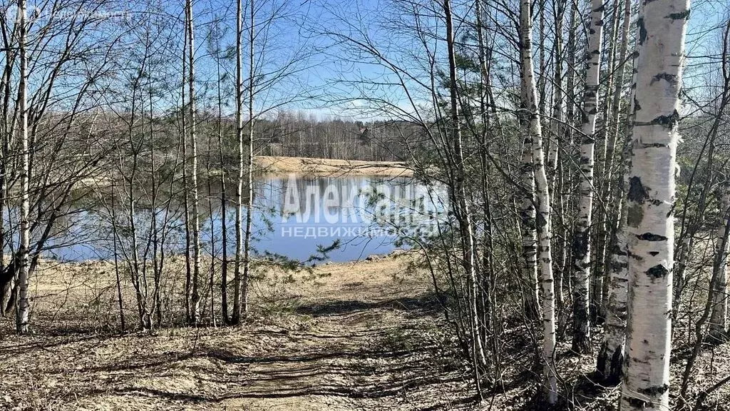 Участок в Сертоловское городское поселение, садоводческое ... - Фото 1