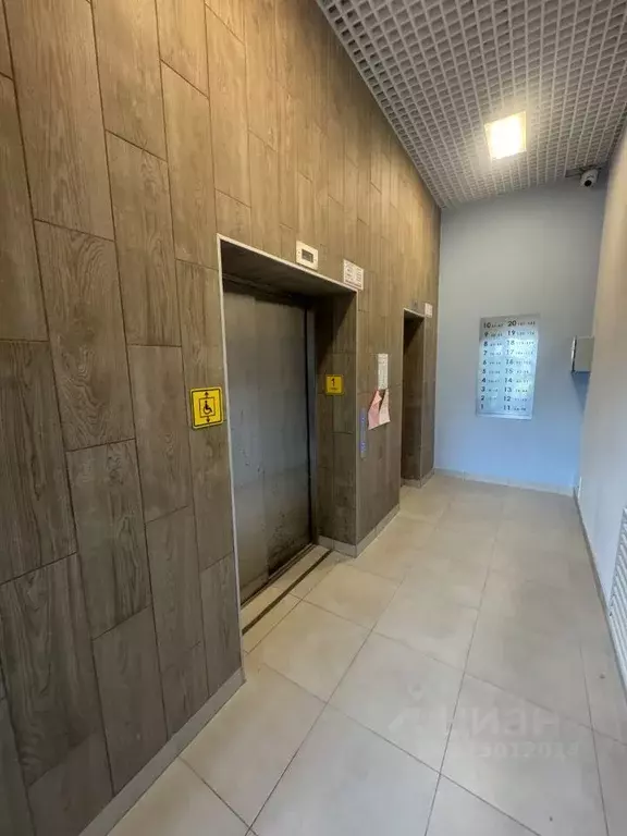 Студия Санкт-Петербург Ручьи тер.,  (20.0 м) - Фото 1