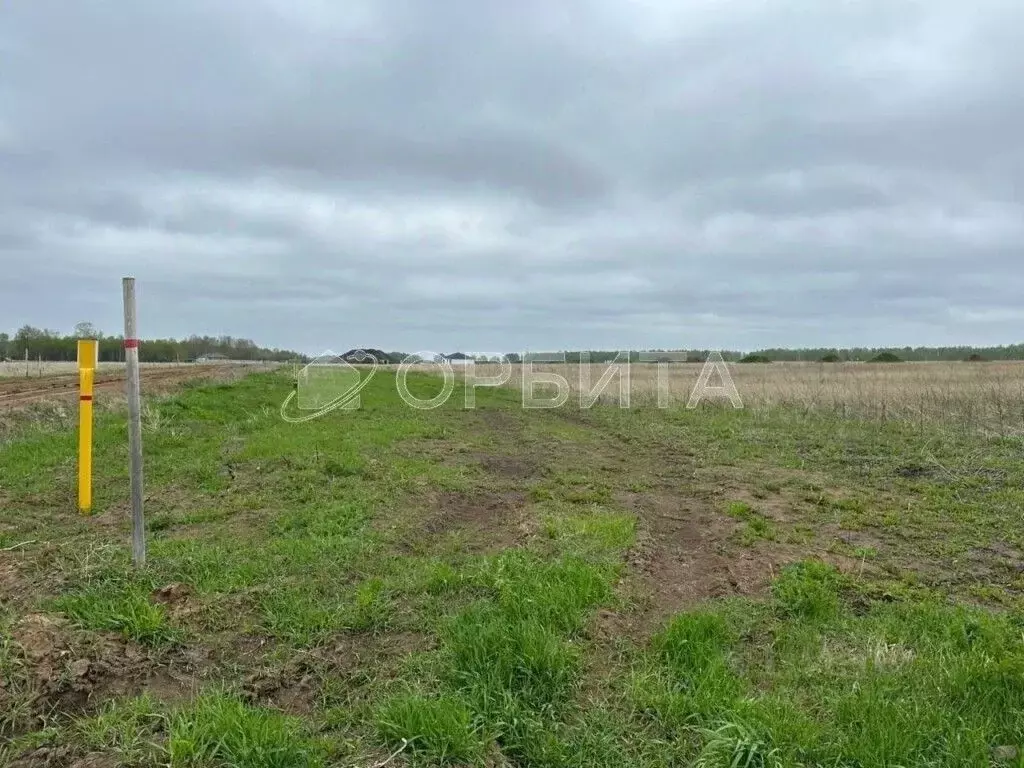 Участок в Тюменская область, Тюменский муниципальный округ, ... - Фото 1