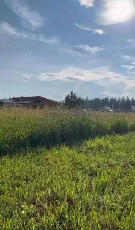 Участок в Пермский край, Пермский муниципальный округ, д. Большакино  ... - Фото 1