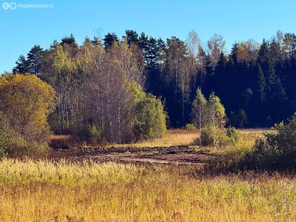 Участок в Московская область, Дмитровский муниципальный округ, КП ... - Фото 1