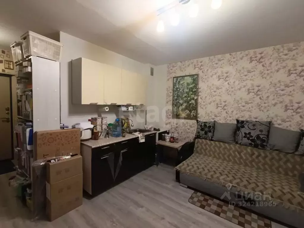 Студия Свердловская область, Нижний Тагил ул. Булата Окуджавы, 5 (24.7 ... - Фото 2