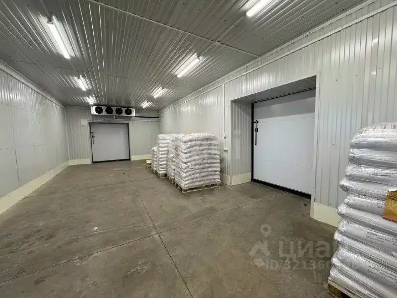 Помещение свободного назначения в Псковская область, Псков ... - Фото 2