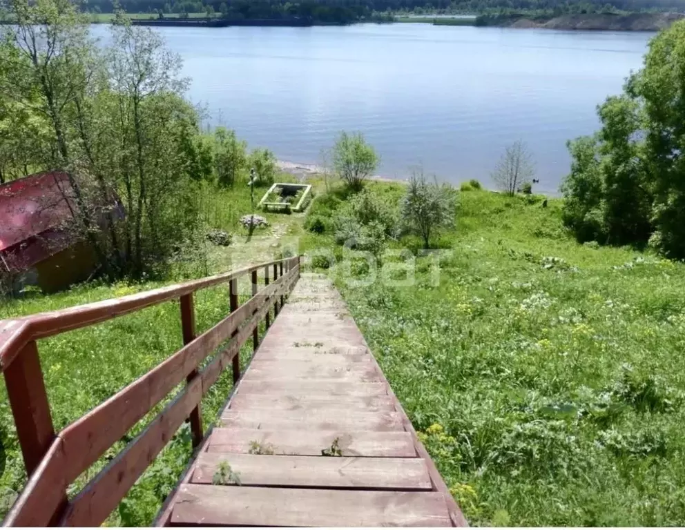 Участок в Костромская область, Красносельский район, Прискоковское ... - Фото 0