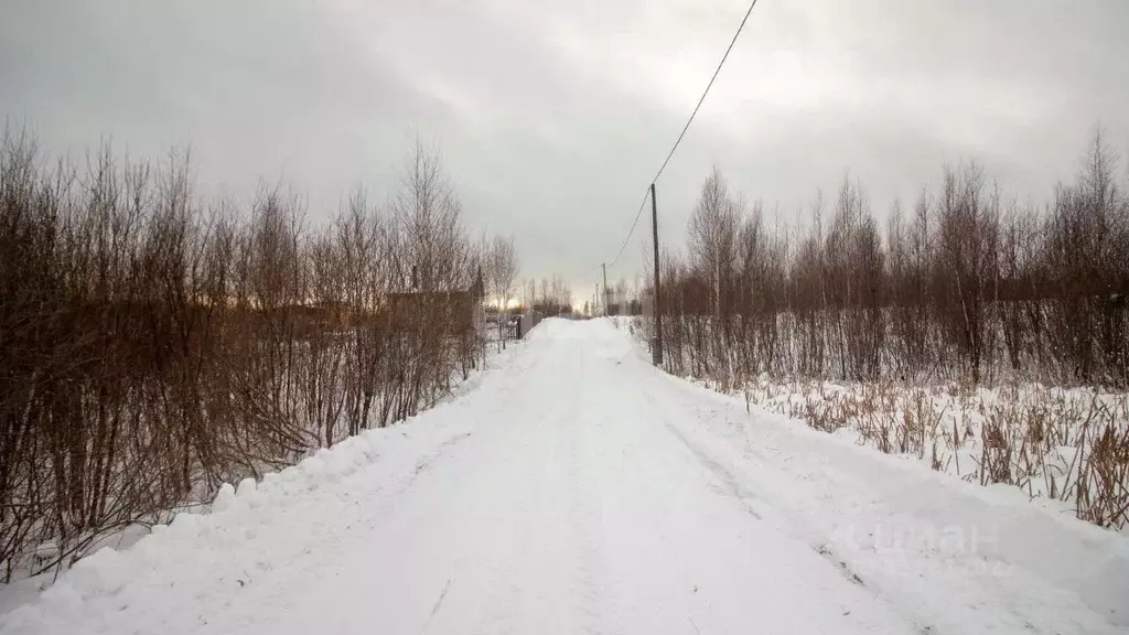 Участок в Томская область, Томский район, д. Лязгино ул. Новая (10.0 ... - Фото 0