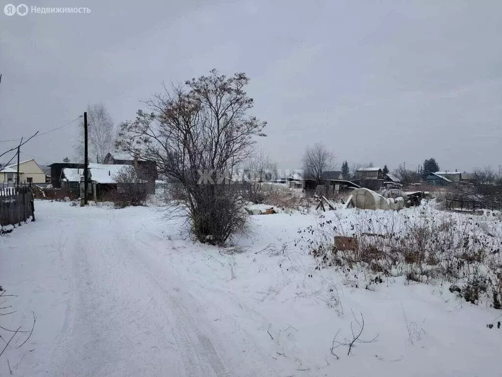 Дом в Шелехов, СНТ Дружба (30 м) - Фото 1