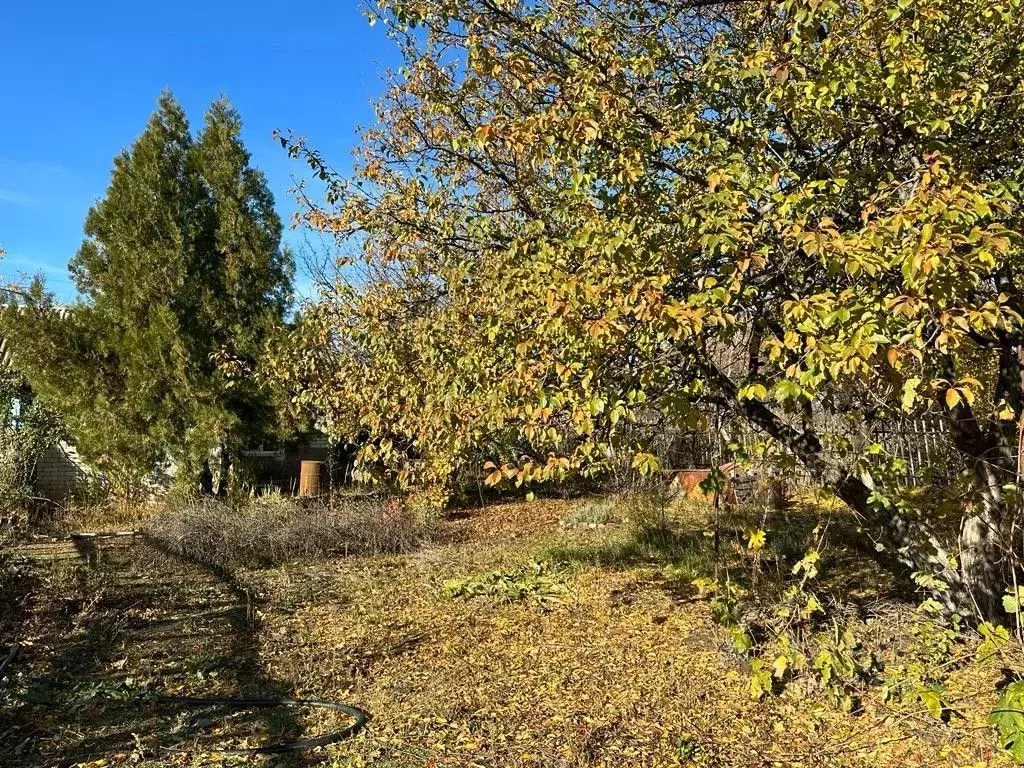 Участок в Волгоградская область, Краснослободск Среднеахтубинский ... - Фото 1